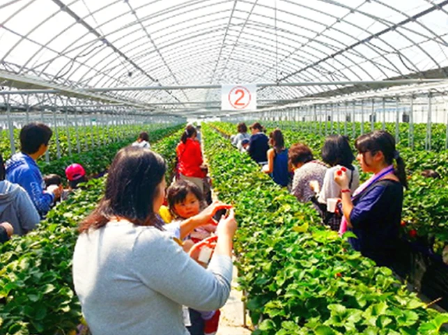 ②スカイファーム