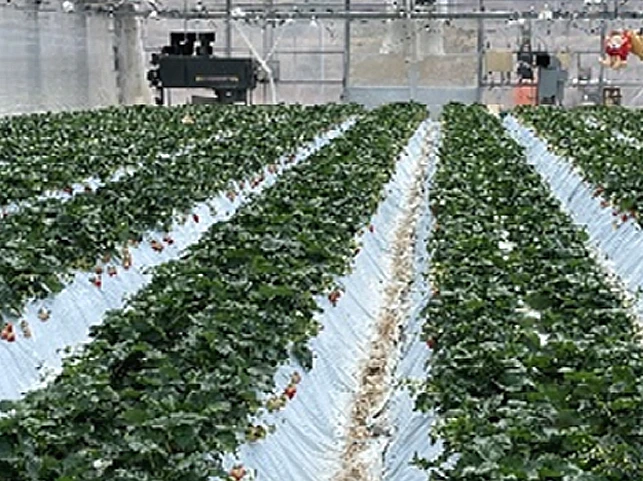 香南アグリーム