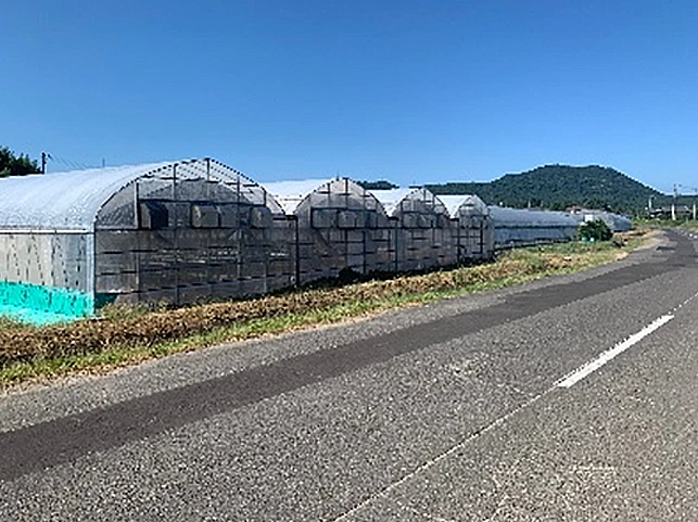 いちごの町 いちご農泊