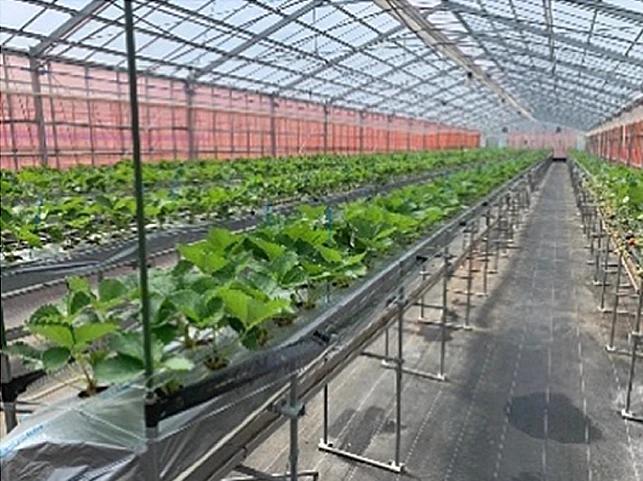 セントベリー三木町農園