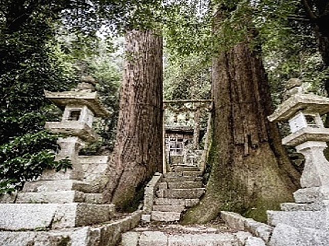 セントベリー三木町農園